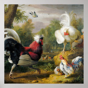 Poster Vintage Belos Cockrels Lutar