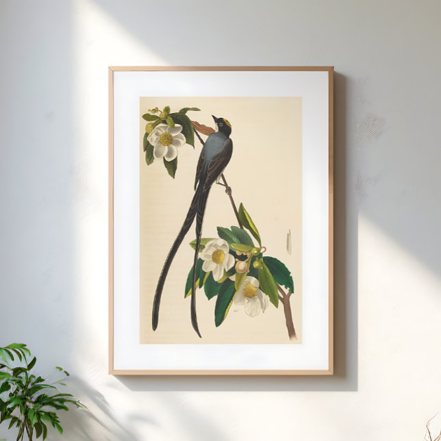 Poster Vintage Bird Swallow-tailed floral illustration (Criador carregado)