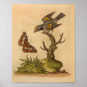 Poster Vintage Bird Yellow Cinza Butterfly