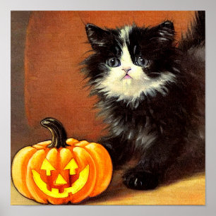 Poster Vintage Black and White Halloween Kitten