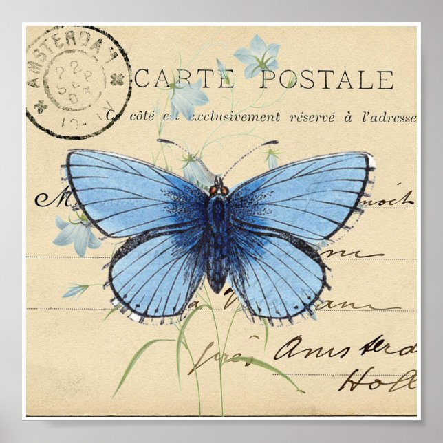 Póster Vintage Blue Butterfly - Cartão postal francês Imp (Frente)