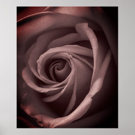 Poster Vintage Blush Rosa