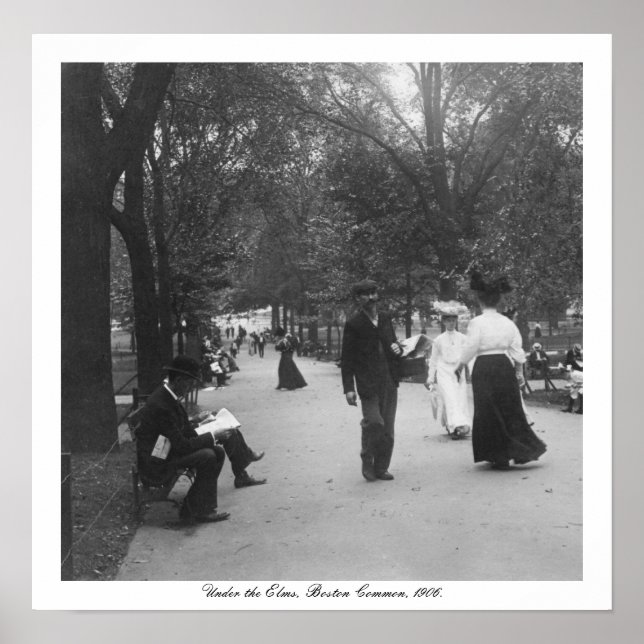 Póster Vintage Boston Common, Sob Elms, EUA (Frente)