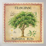 Poster Vintage Botaneria Plumeria Tree Art Deco<br><div class="desc">Vintage Botanical Plumeria Frangipani Tree Art impressão. Quando emoldurado,  seria um adorável deco de parede para a sua cozinha ou área de jantar.</div>