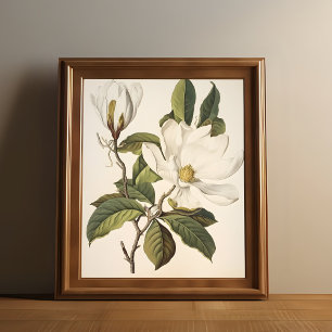 Poster Vintage Botanical