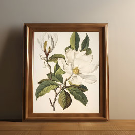 Poster Vintage Botanical