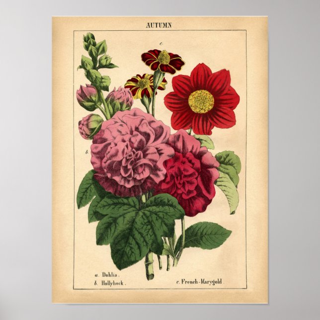 Poster Vintage Botanical Fall Floral Impressão, 1860 (Frente)