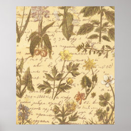 Poster Vintage Botanical Floral