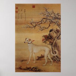 Poster Vintage Branco Greyhound Sob Flores de Cerejeira
