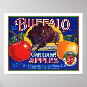 Poster Vintage Buffalo - Maçãs Canadianas