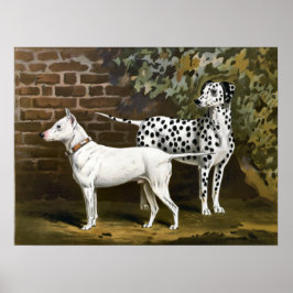 Póster Vintage Bull Terrier e a arte de cães Dalmacianos