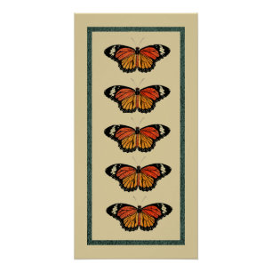 Póster Vintage Butterflies Primavera Bonito Natureza Boni