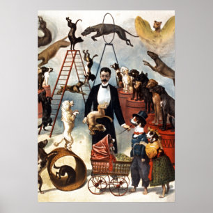 Poster Vintage Cães Circus Ilustração Arte Antiga Antigui