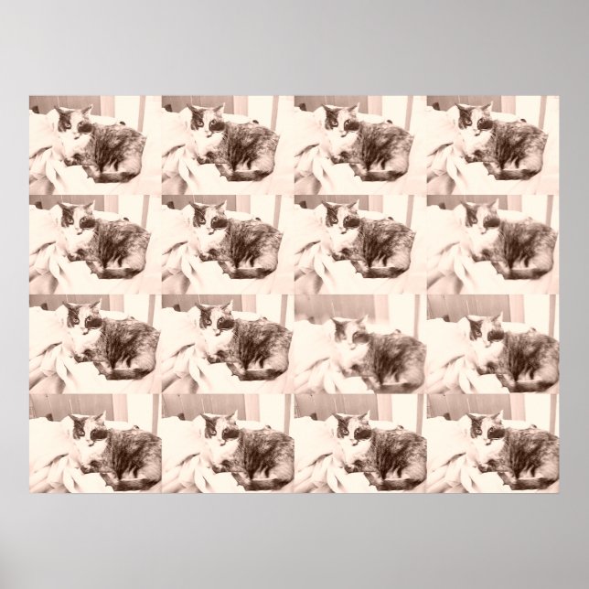 Póster Vintage Calico Cat (Frente)