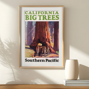 Poster Vintage Califórnia Grandes Árvores Southern Pacifi