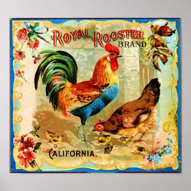 Poster Vintage California Royal Rooster (Frente)