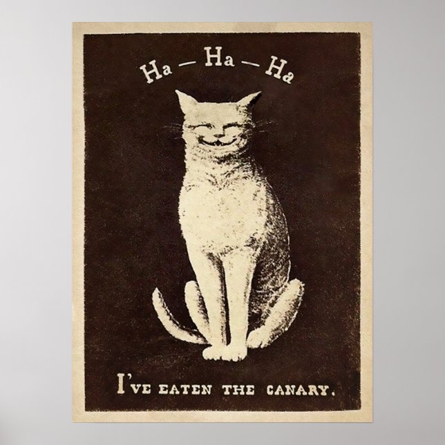 Poster Vintage Canary Comating Cat (Frente)