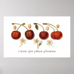 Poster Vintage Cherries Fruta Cottagecore Antiquado Poste