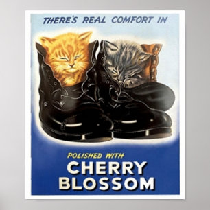 Póster Vintage Cherry Blossom Polonês Ad -Kittens em Calç