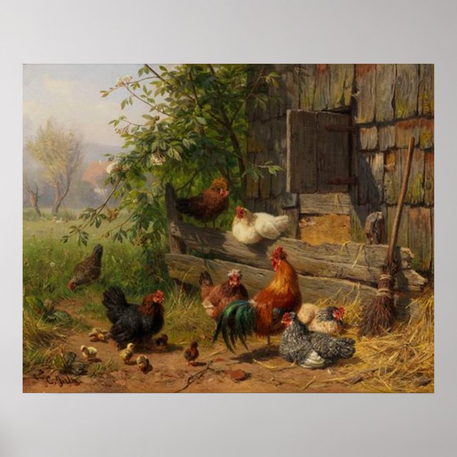 Poster Vintage Chickens e Rooster Country (Frente)