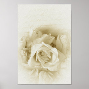 Póster Vintage Chique White Rose E Script
