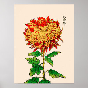 Poster Vintage Chrysanthemum Japonês. Dourado e laranja