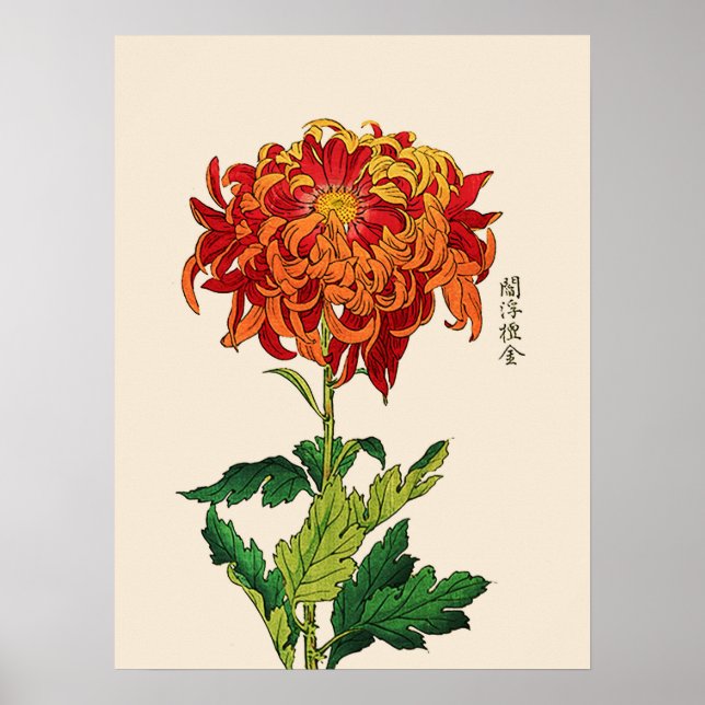 Póster Vintage Chrysanthemum Japonês. Ferrugem e laranja (Frente)