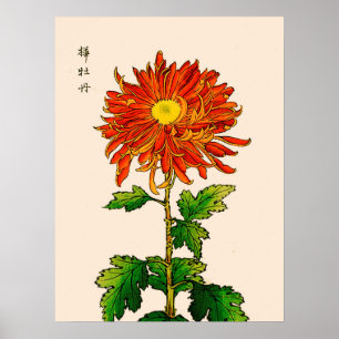 Poster Vintage Chrysanthemum Japonês. Laranja e Dourado