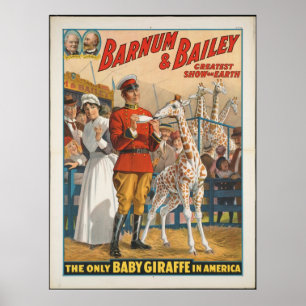 Poster Vintage: circo Barnum & Bailey -