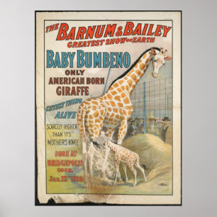 Poster Vintage: circo Barnum & Bailey -