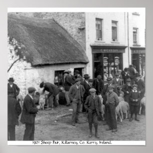 Póster Vintage Co. Kerry Ireland, Killarney Sheep Fair