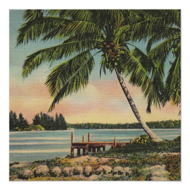Póster Vintage Coconut Palms Tropical Breeze Sunset (Frente)