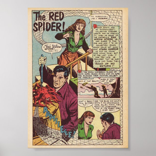 Poster Vintage Comic (Frente)
