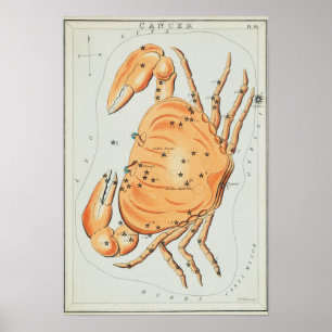 Poster Vintage Constellation Illustration