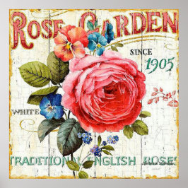 Poster Vintage cor-de-rosa rosa, decor do escritório domé