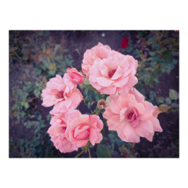 Póster Vintage coral rose bouquet