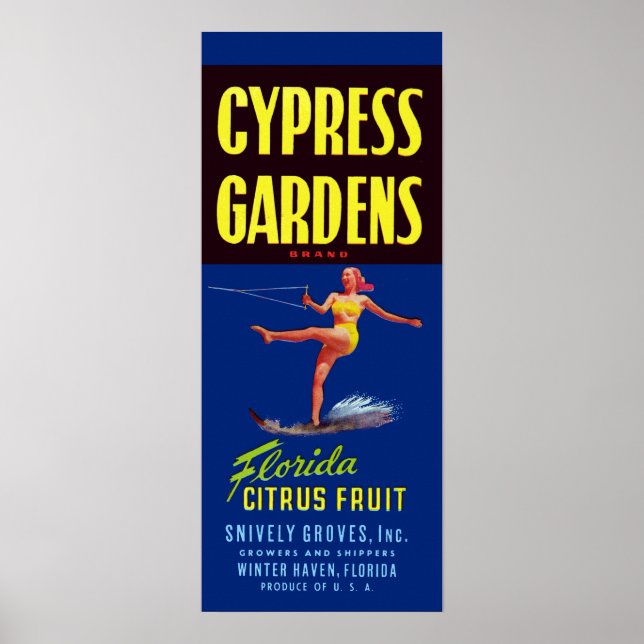 Poster Vintage Cypress Gardens Florida Fruta Citrus (Frente)