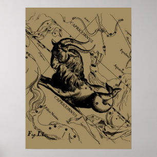Póster Vintage da constelação do Capricórnio que grava