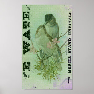 Póster Vintage da toutinegra