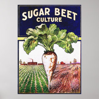 Poster vintage de Cultura de Beet Suger