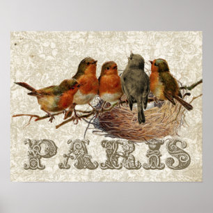 Poster Vintage de desoupage de Robin Birds