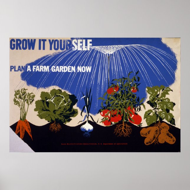 Poster vintage de Jardim Vegetal (Frente)