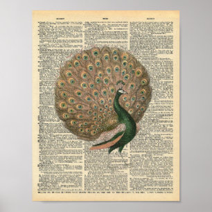 Poster Vintage Dictionary Art BeauLinda Peacock Bird