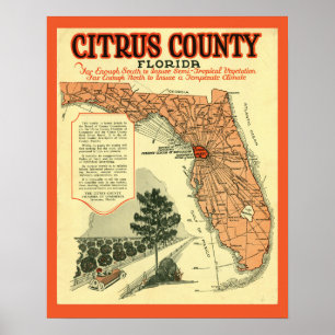 Poster vintage do Condado de Citrus