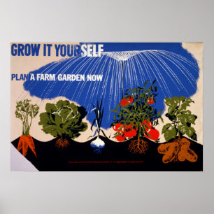 Poster vintage do jardim vegetal