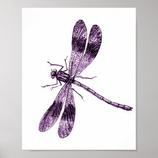Poster Vintage Dragonfly - Rosa