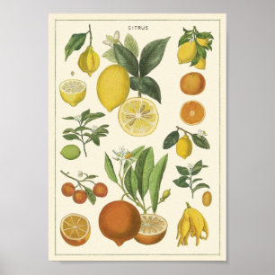 Poster Vintage educacional