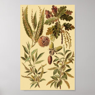 Poster Vintage educacional