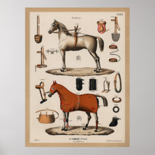 Poster Vintage Equestrian Horse Riding Tack Jockey