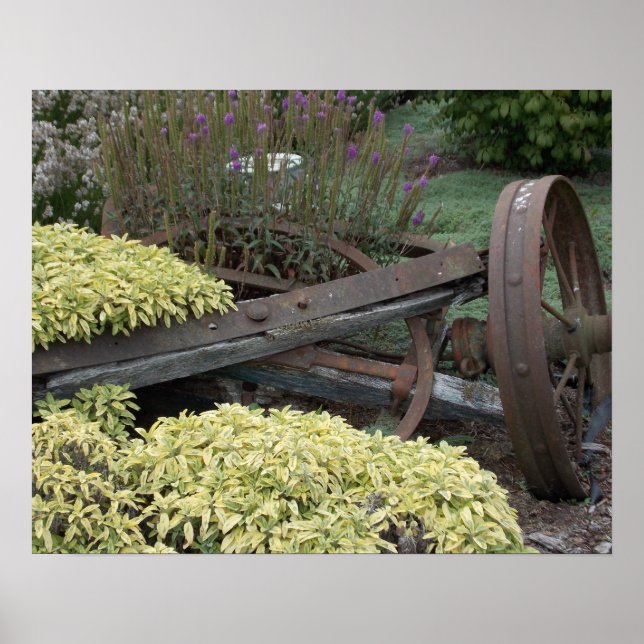 Póster Vintage Fazenda Wheels (Frente)